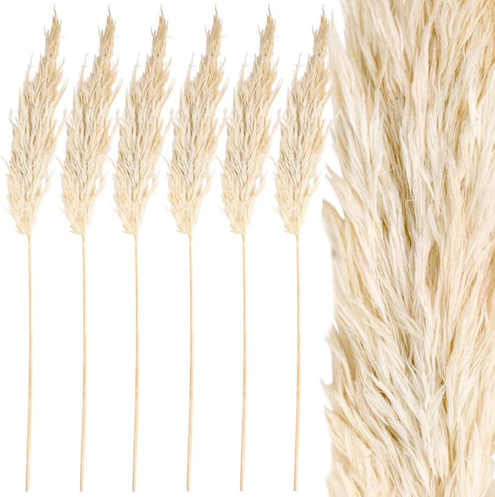 Koyal Wholesale Real Dried Pampas Grass Decor Plumes, 28-32 Inches, White Color, Bulk of 96 Pcs P... | Amazon (US)
