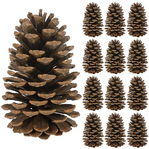 12PCS Large Pine Cones, 3.93-5.51 Inches Tall Pinecones Bulk, Natural Pine Cones for Craft Home Accent Decor Christmas Decorations Table Accessories Supplies Xmas | Amazon (US)
