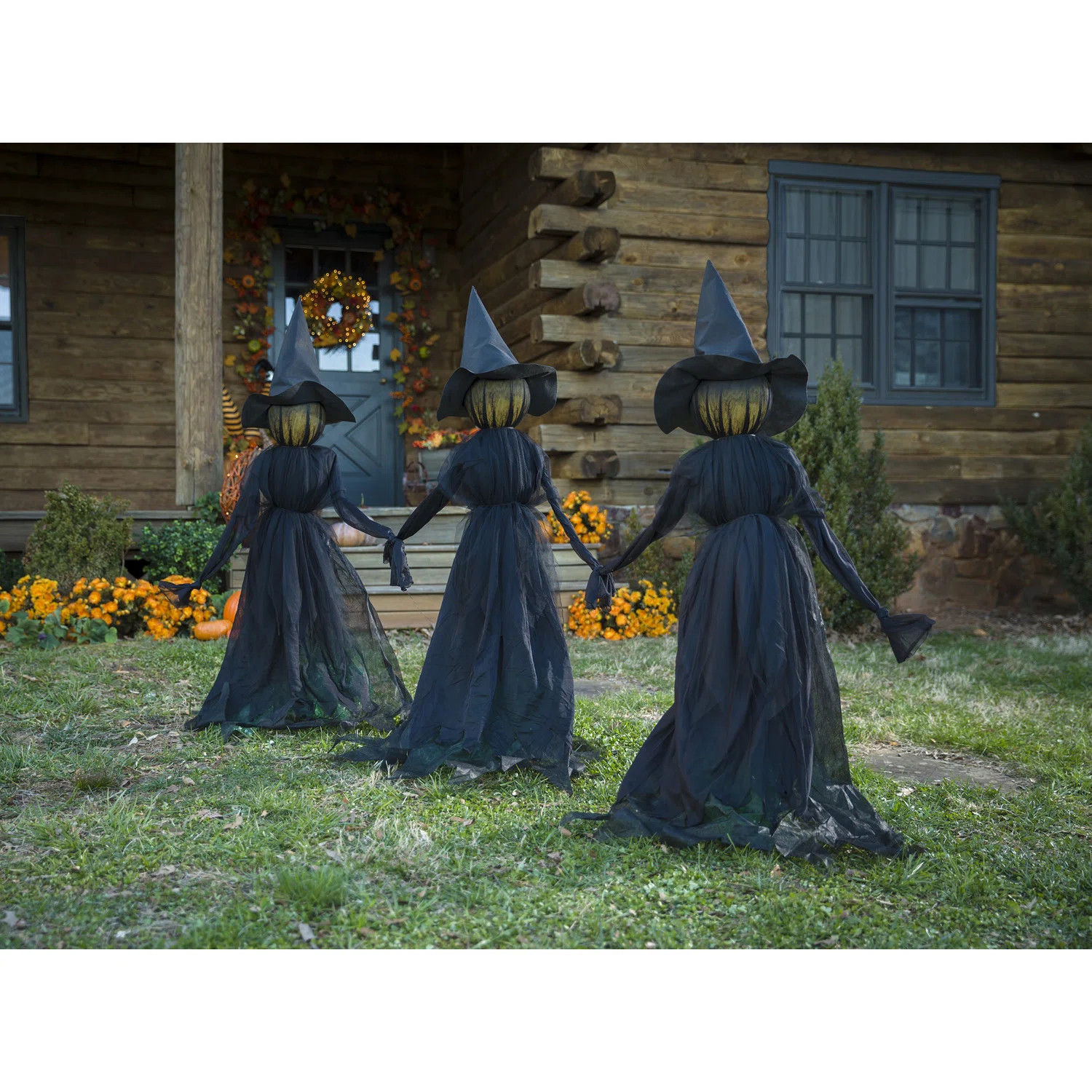 The Twillery Co.® Halloween Lighted Witch Outdoor Stakes & Reviews | Wayfair | Wayfair North America
