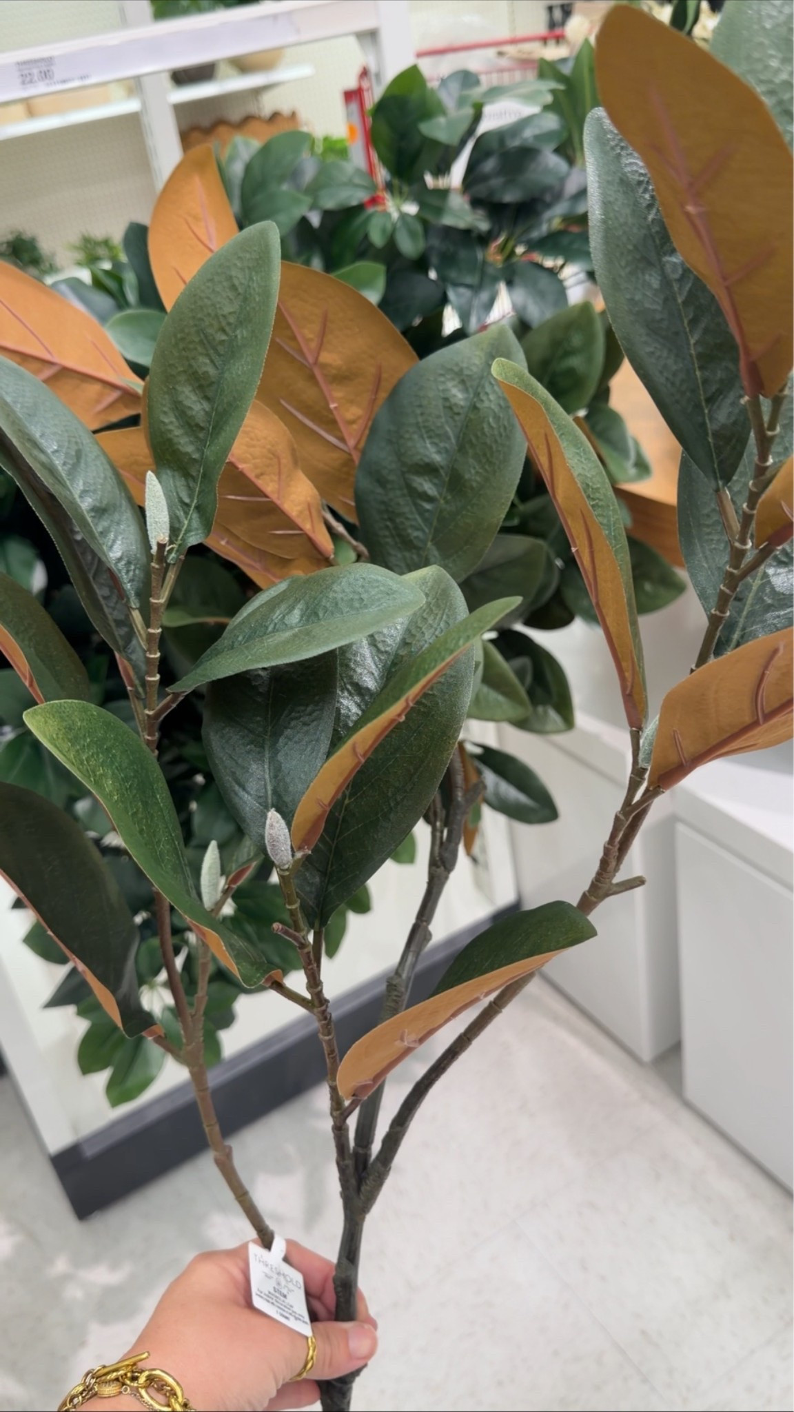 These Threshold faux magnolia branches are so realistic! The rich green leaves and natural texture make them perfect for styling oversized vases, entryway tables, kitchen counters, bookshelves, and fireplace mantels. One of my favorite Target decor finds for adding a designer look without the maintenance.

✨ Threshold magnolia branch
✨ Faux magnolia branch
✨ Artificial greenery stems
✨ Faux botanical stems
✨ Vase filler ideas
✨ Neutral home decor
✨ Traditional home decor
✨ Cottage style decor
✨ Designer-inspired decor
✨ Shelf styling decor
✨ Coffee table decor
✨ Entryway decor
✨ Target home finds
✨ Target Threshold decor

These faux magnolia branches instantly make a vase look full and expensive-looking.

#LTKSeasonal #LTKHome