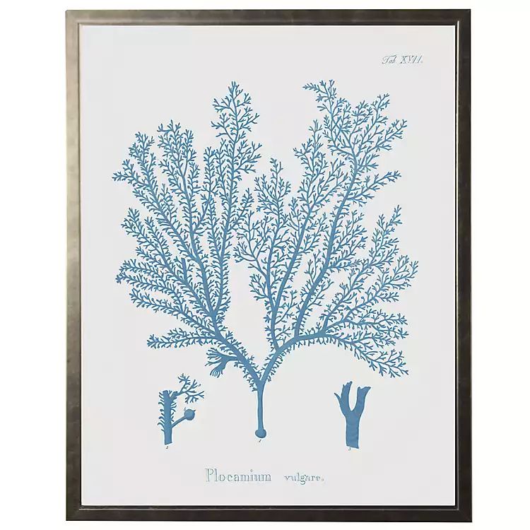 White Distressed Blue Coral I Framed Art Print | Kirkland's Home