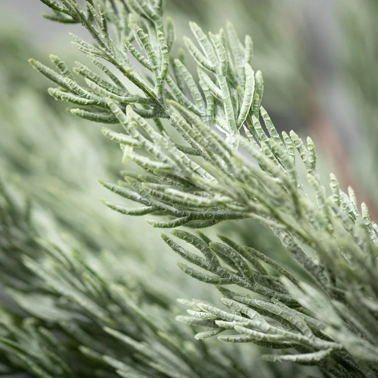 Artificial Long Pine Stem Green 29"H | Walmart (US)