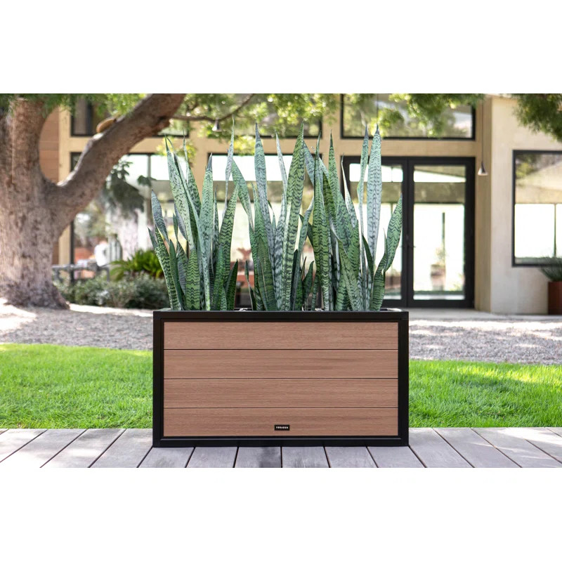 Planter Box | Wayfair North America