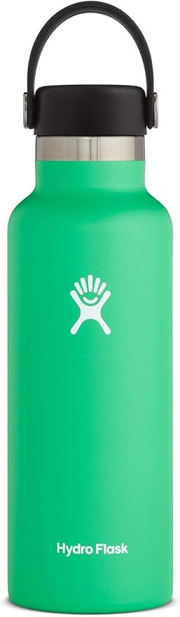 Hydro Flask Water Bottle - Standard Mouth Flex Lid - 18 oz, Spearmint | Amazon (US)