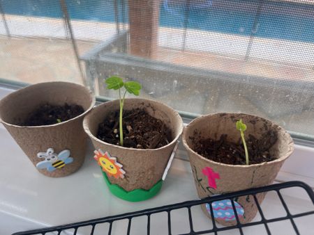 Fun kids project for my 3-year-old stickers
Planting 
Seeds
Drawing 
Markers
