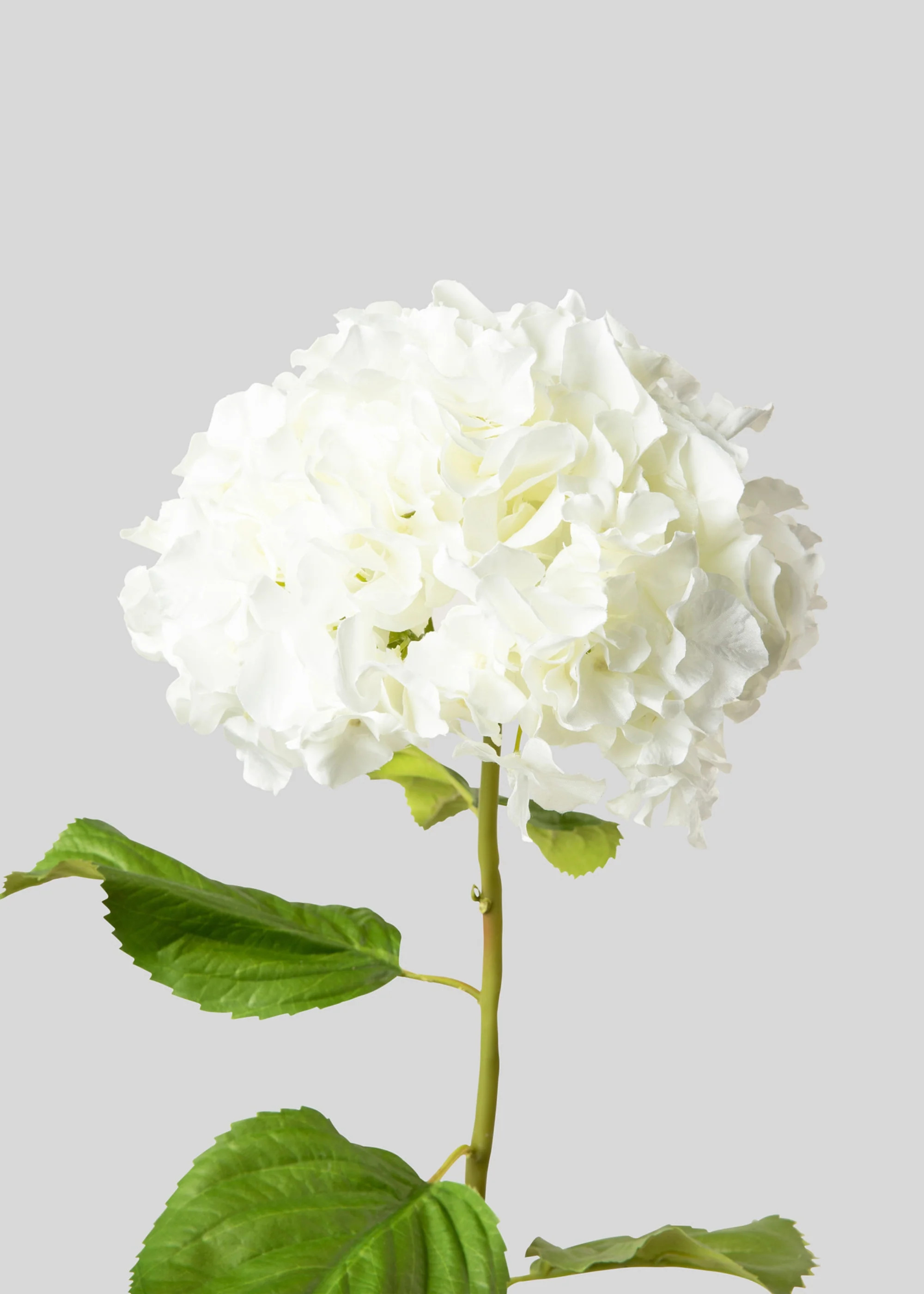 Tall Hydrangea Faux Flower in White - 45" | Afloral