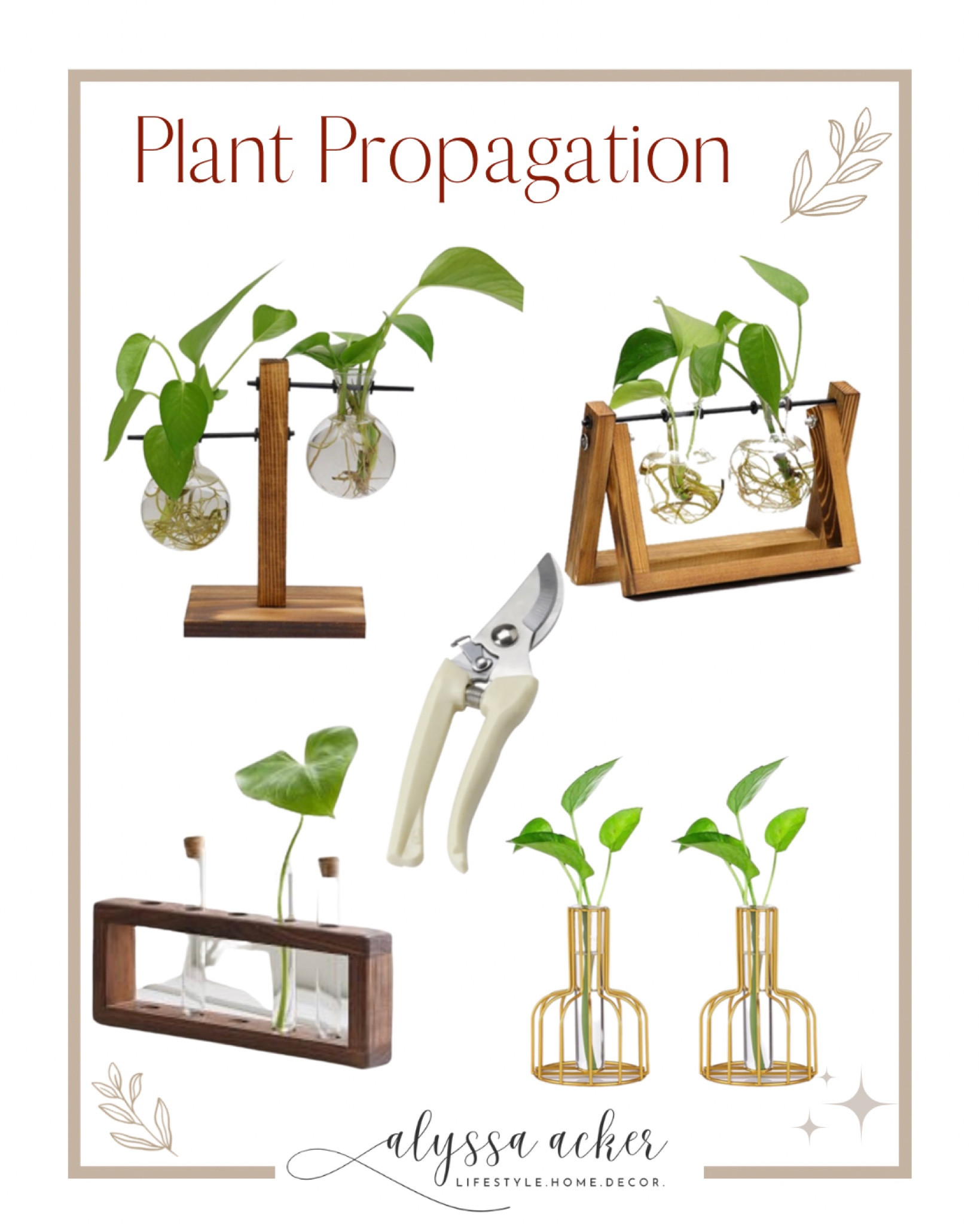 Sharing all my favorite plant propagation stations! 

Check out my latest blog on how to propagate your fav site house plants! 

Indoor plants
Plant propagation 
Plant stems 
Plant mom 
Garden Ideas 
Greenery

#LTKstyletip #LTKhome #LTKSeasonal