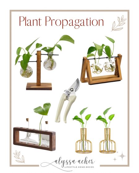 Sharing all my favorite plant propagation stations! 

Check out my latest blog on how to propagate your fav site house plants! 

Indoor plants
Plant propagation 
Plant stems 
Plant mom 
Garden Ideas 
Greenery

#LTKstyletip #LTKhome #LTKSeasonal