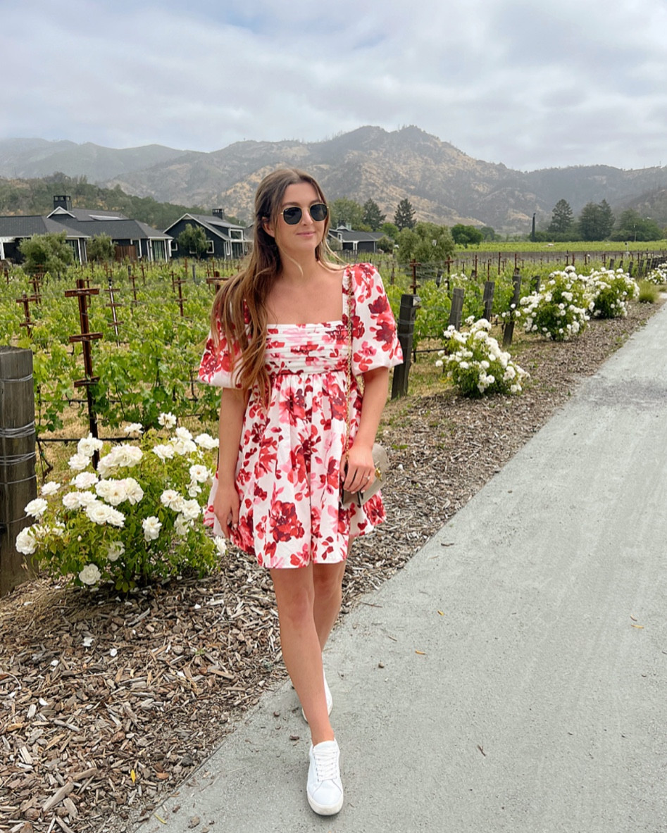 gisele mini dress asta resort Asta Resort Gisele Mini Dress