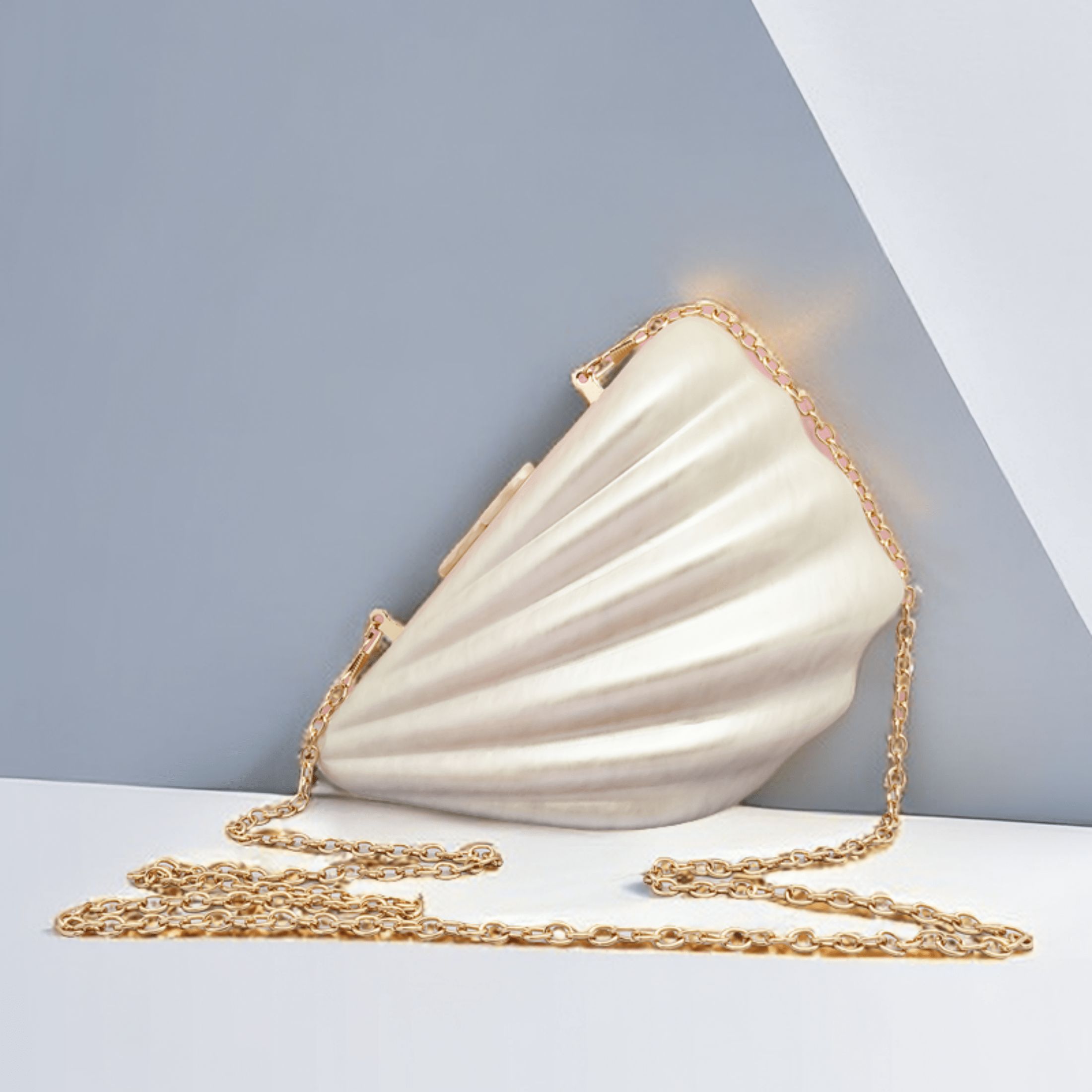 Shell-shaped Ladies' Acrylic Clutch Bag | SHEIN