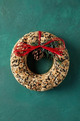Bird Seed Wreath | Terrain