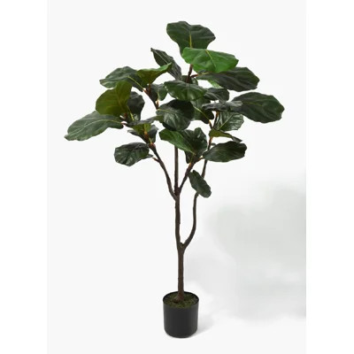 Fiddle Leaf Fig Tree in Pot | Wayfair Professional