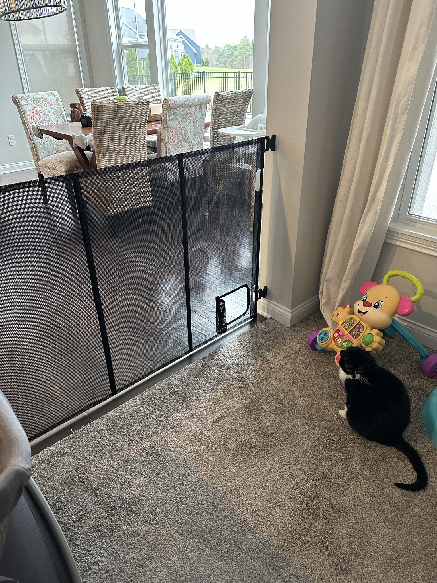 Pet proof baby gate with cat door

#LTKbaby #LTKkids #LTKfamily