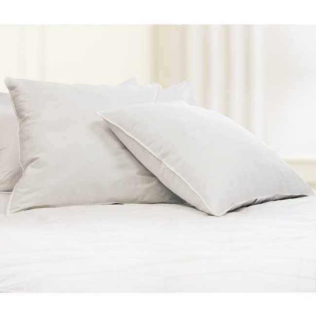 Feather Filled Euro Square Pillow White 2pk - Blue Ridge Home Fashions | Target
