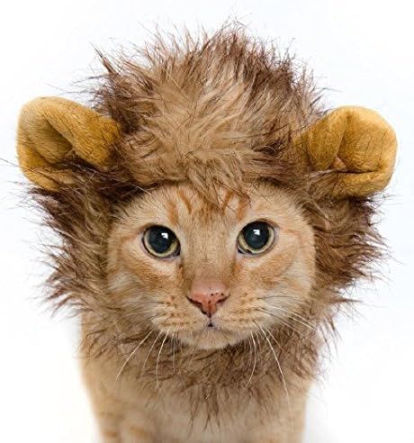 Pet Krewe Lion Mane Costume - Lion Mane for Cats - Fits Neck Size 8”-14” - Perfect for Hallow... | Amazon (US)