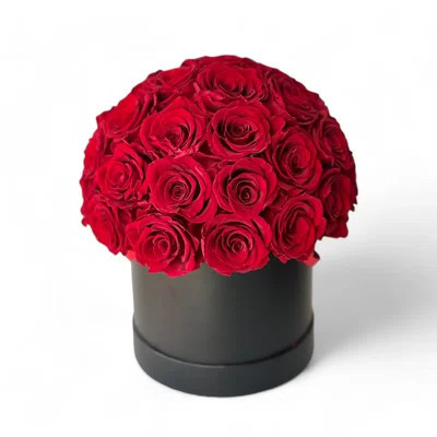 Preserved Rose Arrangement in Open | Wayfair North America