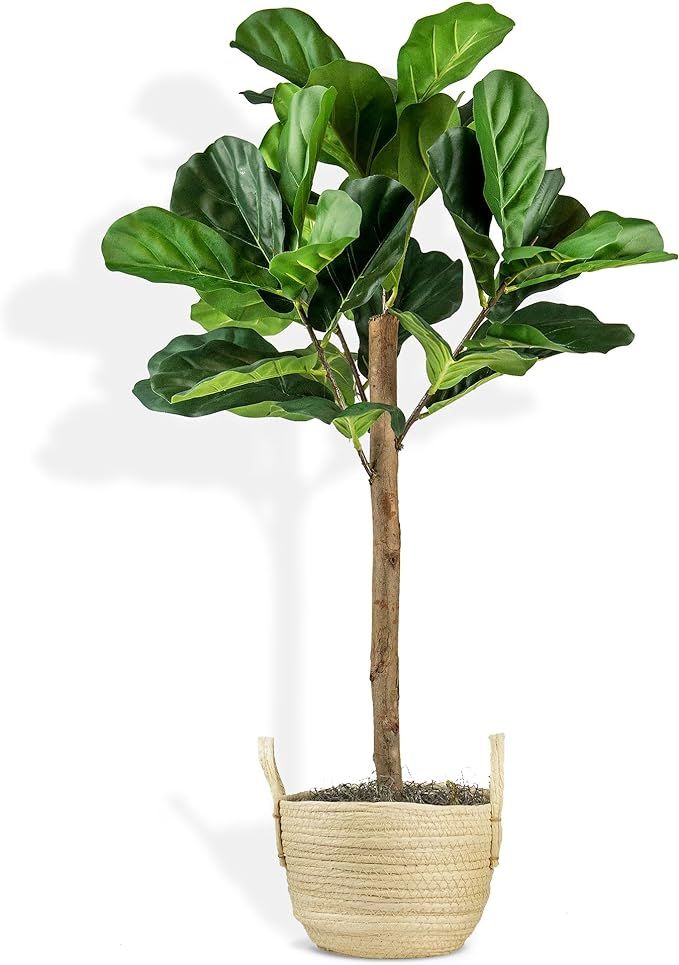 3FT Artificial Fig Tree in Boho Basket Pot – Natural Wood Trunk w/Lifelike Foliage & Branches ... | Amazon (US)
