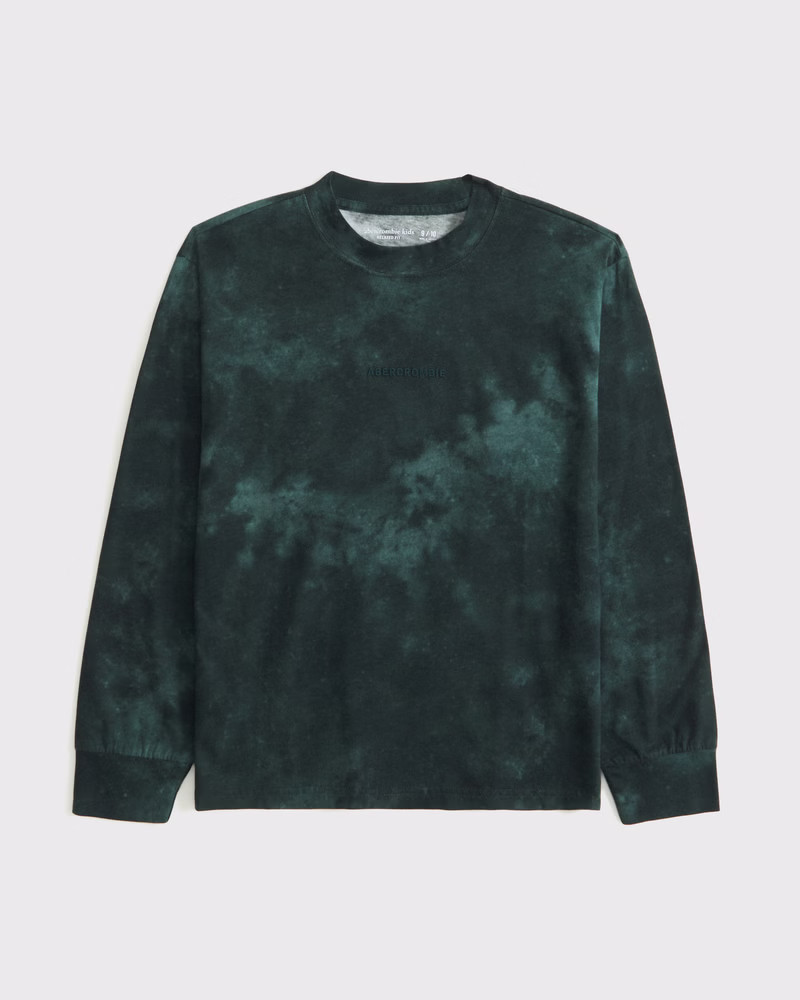 abercrombie kids boys long-sleeve embroidered logo tee in green dye - size 17/18 | Abercrombie & Fitch (US)