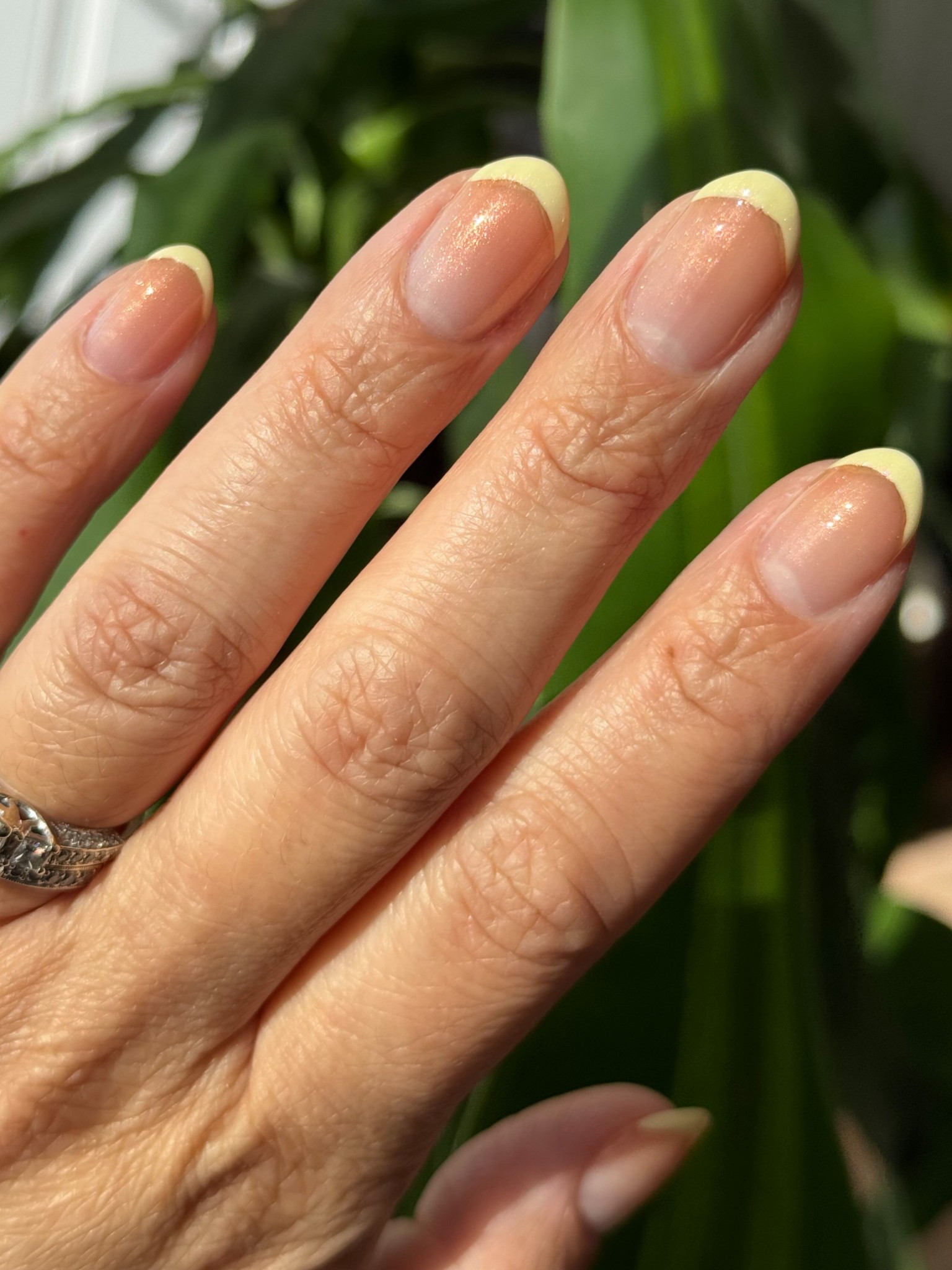 Pastel yellow French mani for spring 💛🤍

Shades: Olive & June  Let's Hit The Drive Thru + The Golden Effect

#LTKBeauty