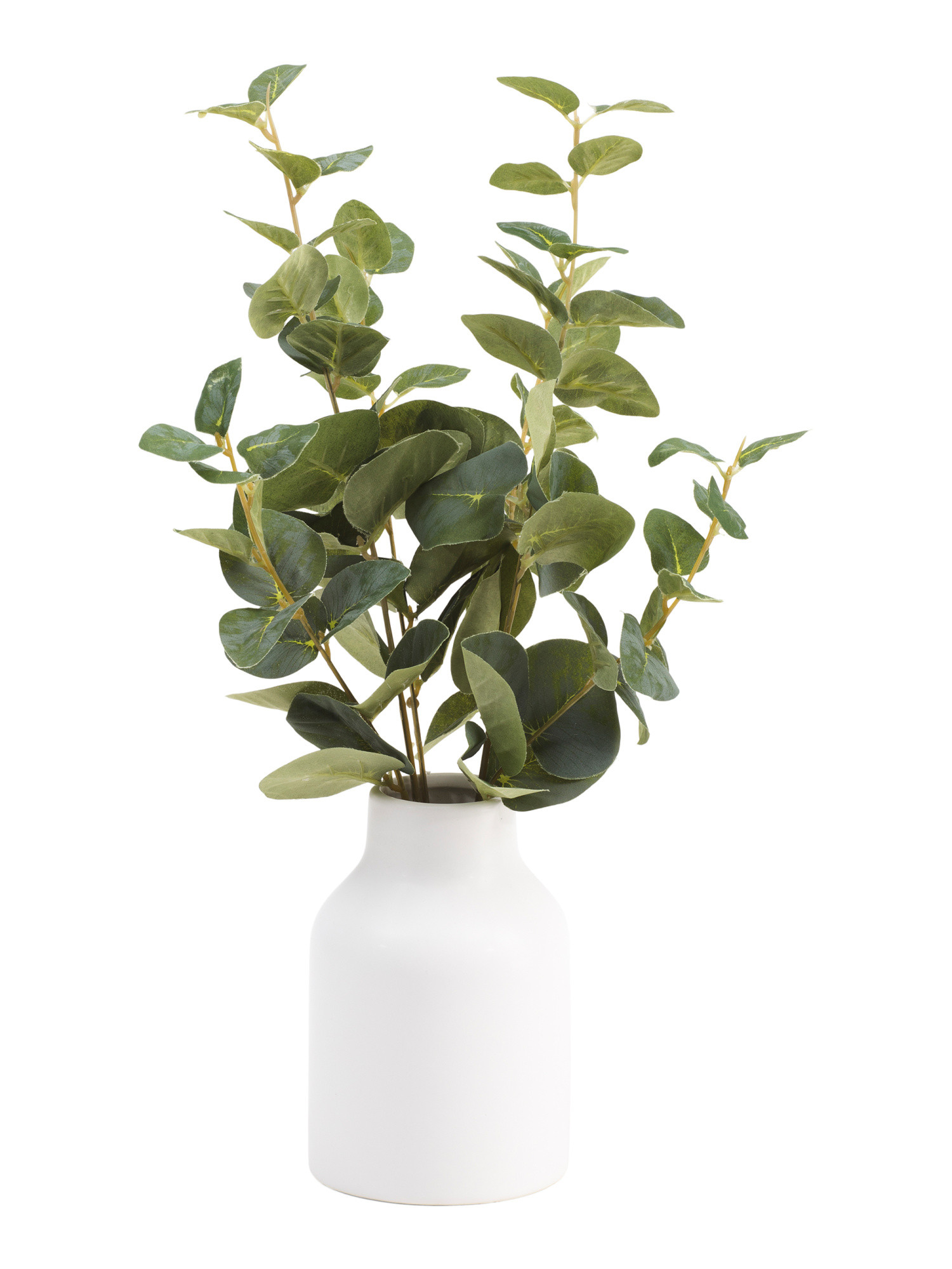 Eucalyptus Stems In Mod Vase | Home Essentials | Marshalls | Marshalls