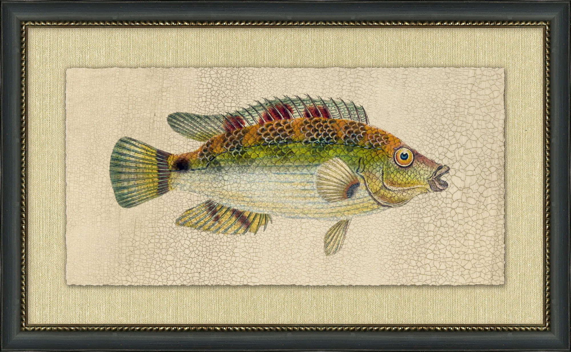 Fish Study " Fish Study 3 " Painting Print | Wayfair North America