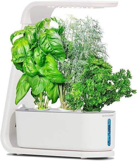 AeroGarden White Sprout | Amazon (US)