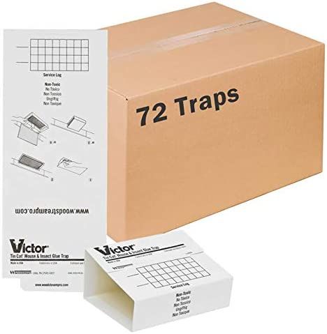Victor M309 72 Pack Insect & Mouse Glue Board, White | Amazon (US)
