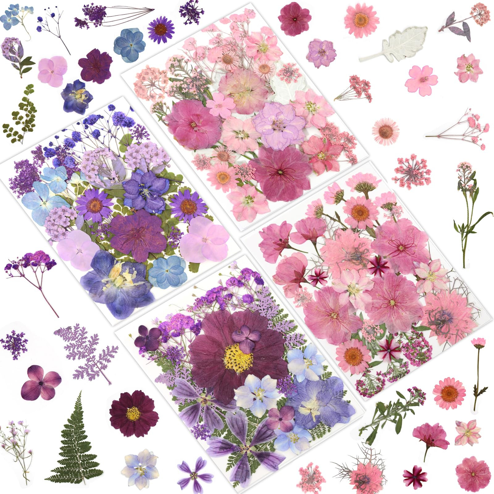 100 Pcs Dried Pressed Flowers for Crafts, Preserved & Dehydrated in Pink/Purple/Blue for Resin Ar... | Amazon (US)