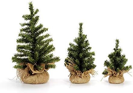 Darice RC-6529 Canadian Tree with Burlap Base - 50 Tips - 8 inches | Amazon (US)