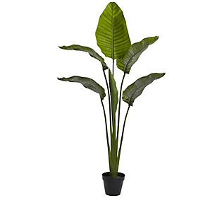 64" Travelers Palm Tree by Nearly Natural | QVC