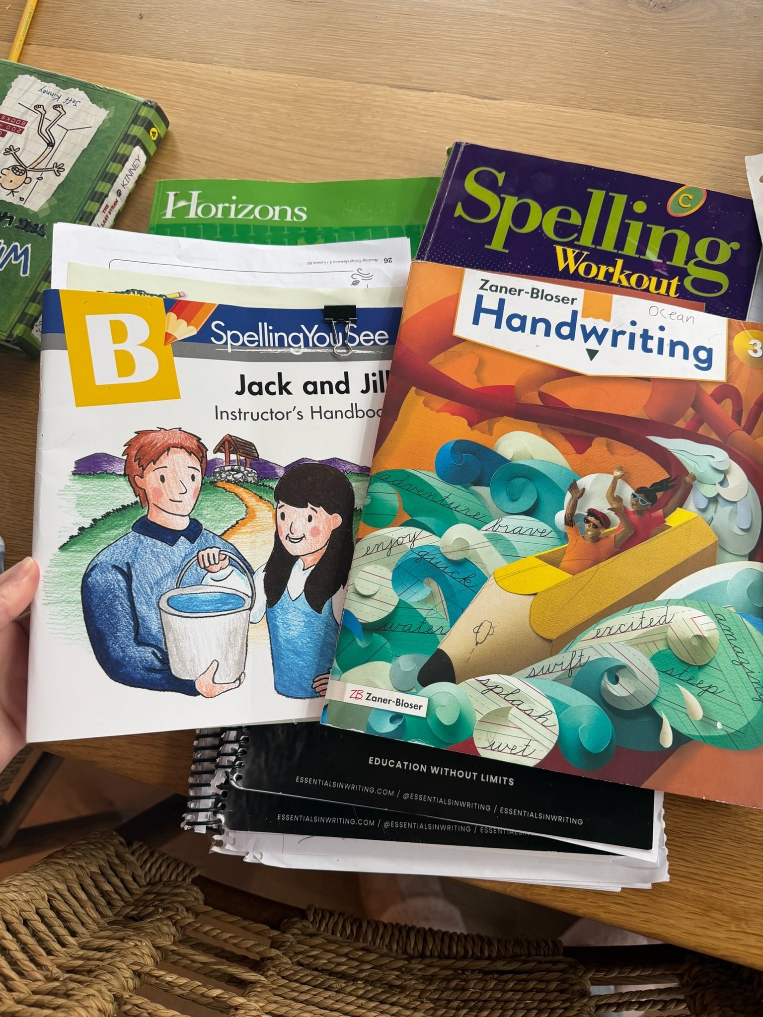 Some of our homeschooling books! (The kids are also obsessed with Diary of a wimpy kid)

#LTKHome #LTKKids #LTKmomlife