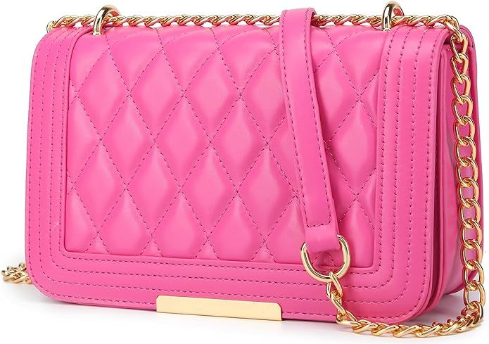 lola mae Crossbody Bags for Women Fashion Quilted Shoulder purse with Convertible Chain Strap Cla... | Amazon (US)