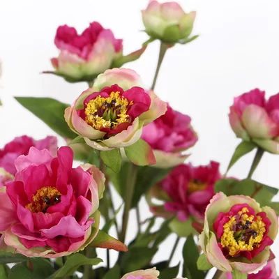 Silk 3 Princess Bloom Peony Stem Flower Color: Pink | Wayfair North America