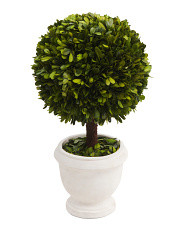 18in Real Preserved Boxwood Ball Topiary In Pot | Marshalls