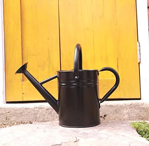 WEQUALITY Watering Can for Outdoor and Indoor Plants，1 Gallon Metal Plant Watering Can with Handles, | Amazon (US)