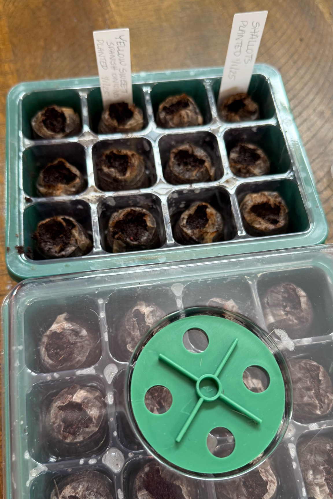 Gardening. Seed starting. Garden. Homestead. Farm. Garden Life. Farm life. Vegetable. Seeds. Seedling. Seed starting. Greenhouse. Green. 

#LTKFindsUnder50 #LTKHome #LTKSaleAlert