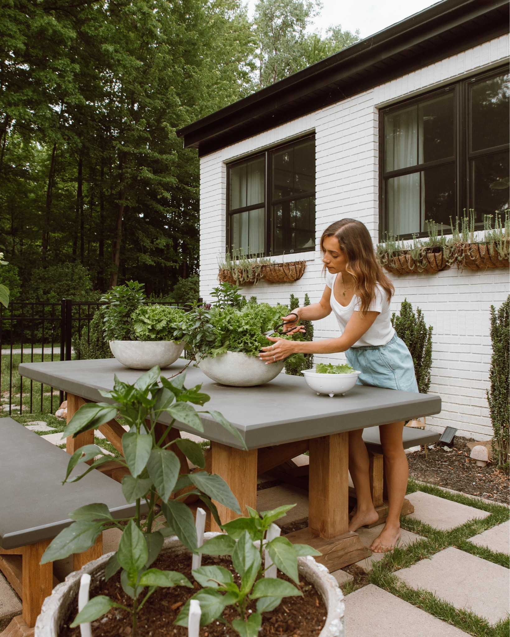 My concrete planter bowls are currently on sale! This is an older style so I’m sure once they are gone that’s it! #homedecor #salealert #outdoordecor #springdecor

#LTKunder100 #LTKsalealert