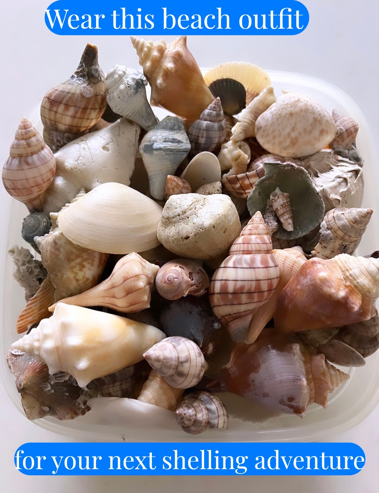 Pack these clothes and accessories for your next beach getaway and shelling adventure!


#LTKSeasonal #LTKOver40 #LTKSaleAlert #LTKTravel #LTKgrwm #LTKootd #LTKMidsize #LTKSwim
