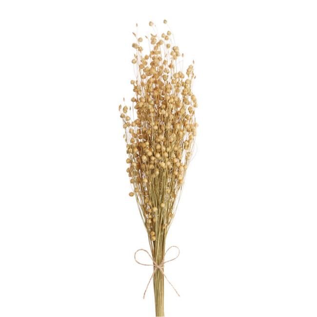 Dried Natural Flax Bunch | World Market