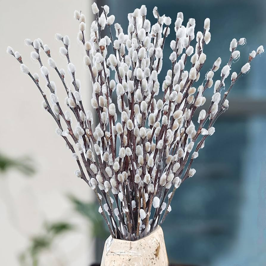 Oning 30 Stems Real Dried Pussywillow Preserved Greenery Branches for Vase- Natural Pussywillows ... | Amazon (US)