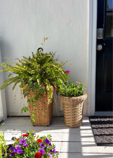 I’ve been collecting outdoor wicker & rattan planters (plus some terrraacotta & love how they can instantly warm up an otherwise boring space! 

#LTKSeasonal #LTKHome