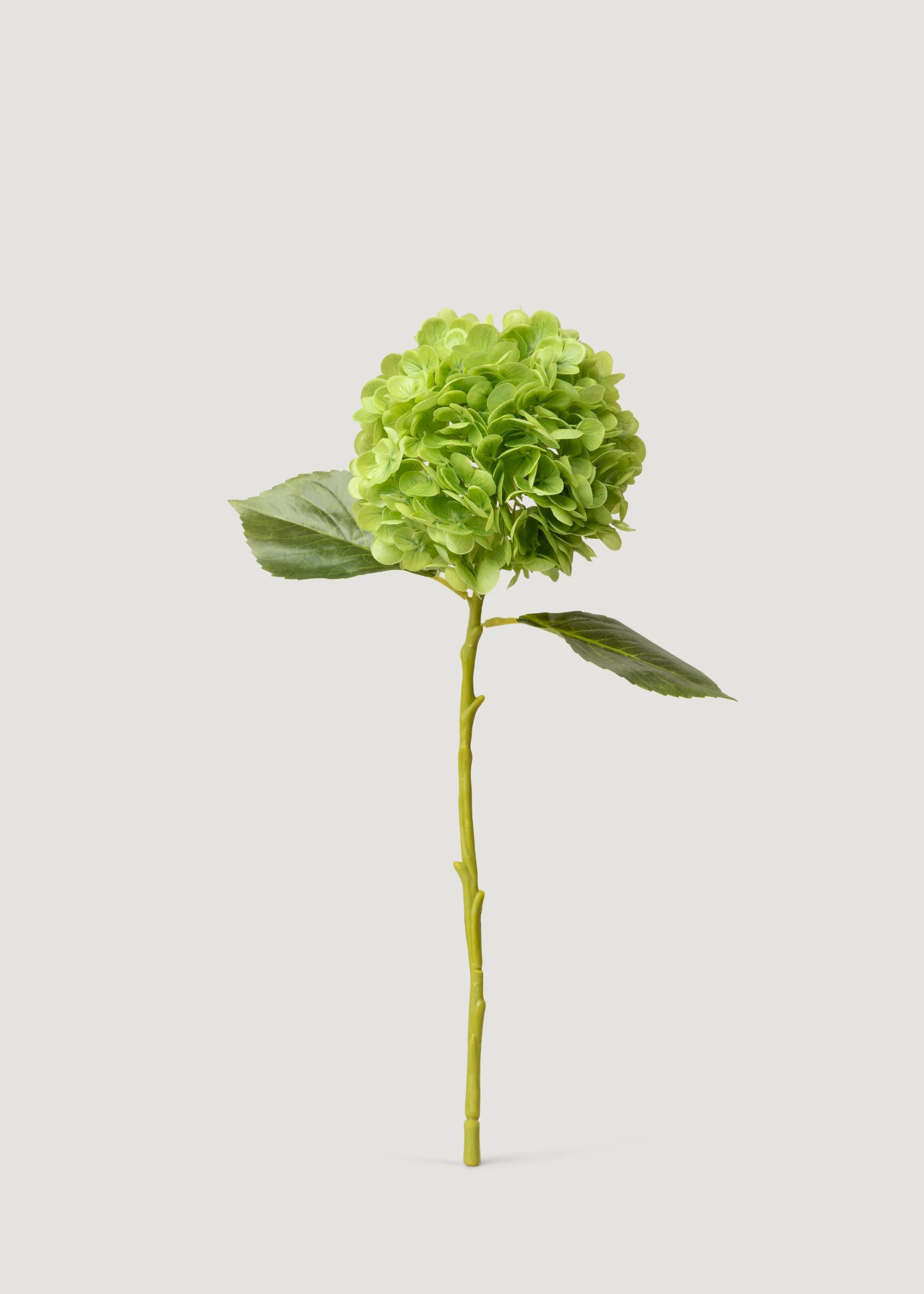 Hydrangea Real Touch Fake Flower in Green - 18.5 | Afloral