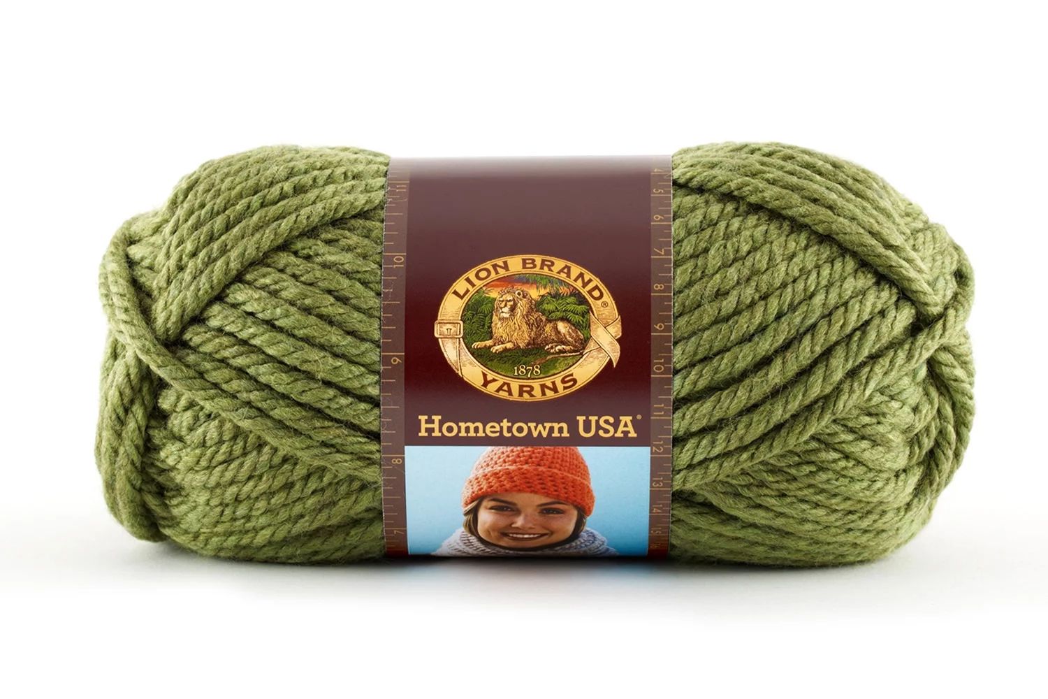 Lion Brand Yarn Hometown Oklahoma City Green Basic Super Bulky Acrylic Green Yarn 3 Pack - Walmar... | Walmart (US)