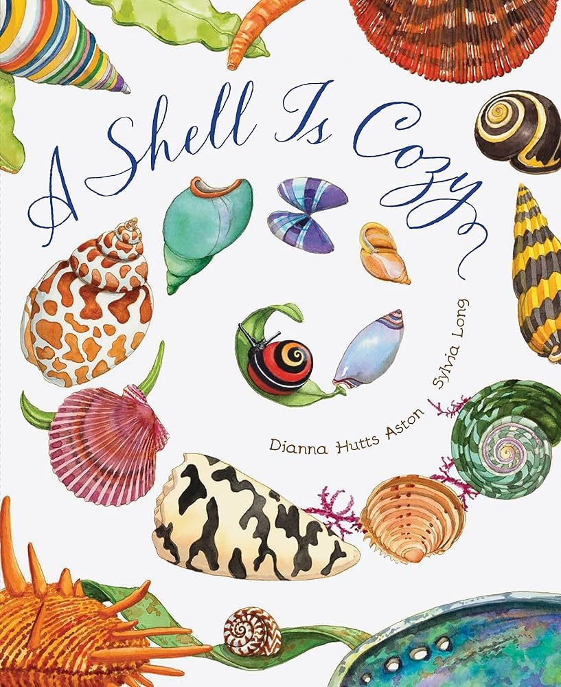 A Shell Is Cozy | Amazon (US)