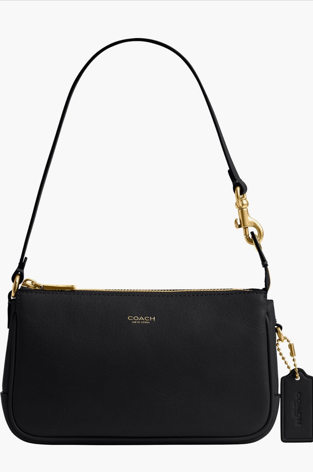 Coach Plaza 18 leather shoulder bag, accessories, Nordstrom half yearly sale

#LTKGiftGuide #LTKSaleAlert #LTKFindsUnder100