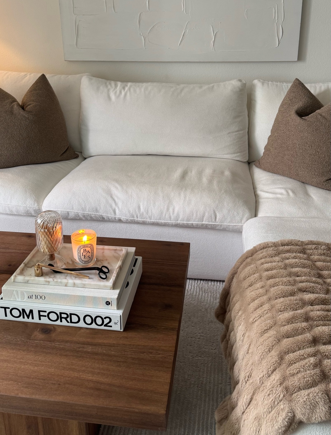 Brown pillows 

#LTKU #LTKHome #LTKvlog