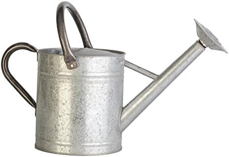 Panacea | Amazon (US)