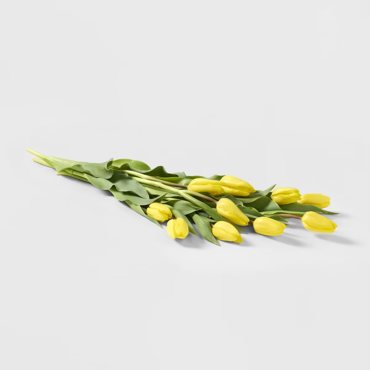10-Stem Tulips - Good Little Garden™ | Target