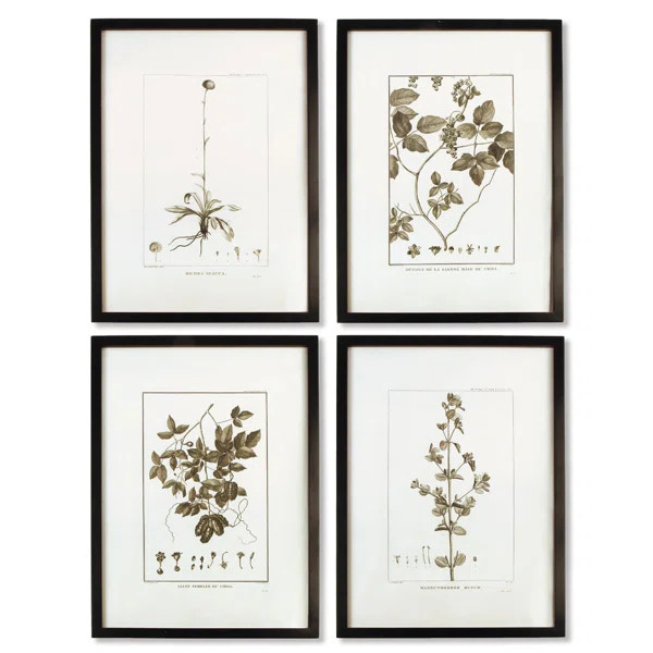 Sepia Tone Botanical | Wayfair North America