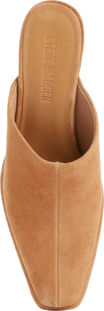 Steve Madden Dessa Mule (Women) | Nordstrom | Nordstrom